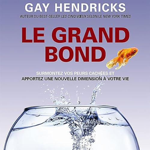 Le grand bond - Livre audio 2 CD (French Edition) (9782896679645) by Hendricks, Gay