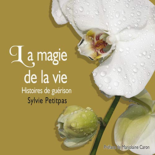 Beispielbild fr La magie de la vie - Livre audio 2 CD zum Verkauf von LiLi - La Libert des Livres