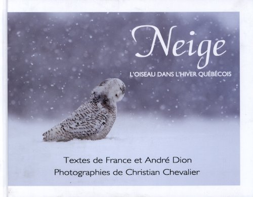 Beispielbild fr Neige L'Oiseau dans L'Hiver Quebecois zum Verkauf von RZabasBooks