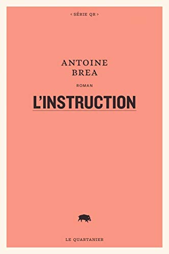 Stock image for L'instruction for sale by Ammareal