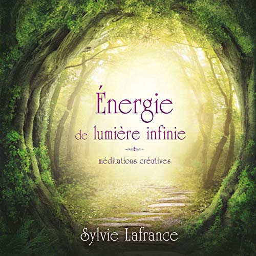 9782897360795: Energie de lumire infinie: Mditations cratives