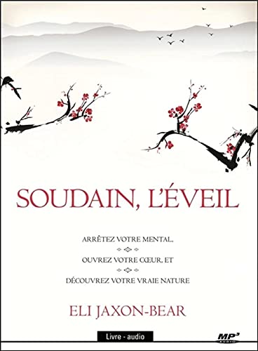 Beispielbild fr Soudain, l'veil - Livre audio CD MP3 zum Verkauf von Ammareal