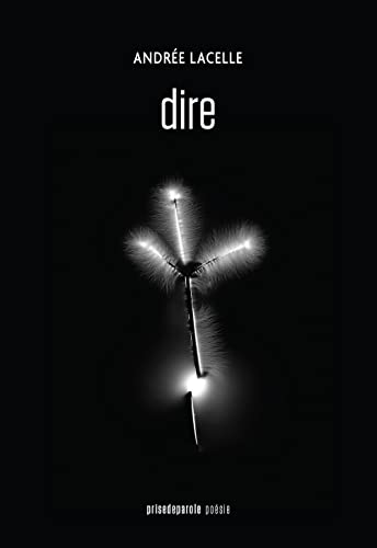 Stock image for Dire for sale by Librairie La Canopee. Inc.