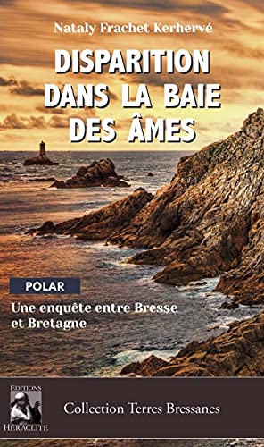 Beispielbild fr Disparition dans la baie des mes: Une enqute entre Bresse et Bretagne zum Verkauf von medimops