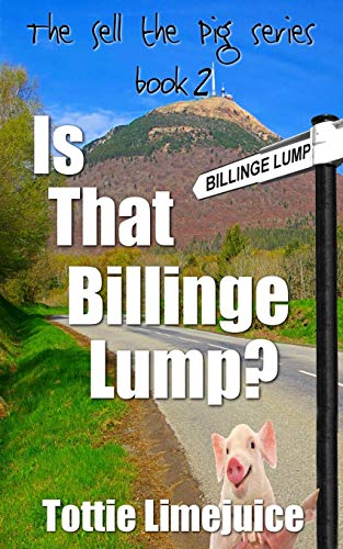 9782901773139: Is That Billinge Lump?