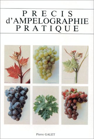 Stock image for Precis D'ampelographie Pratique, 6th Edition for sale by Best and Fastest Books