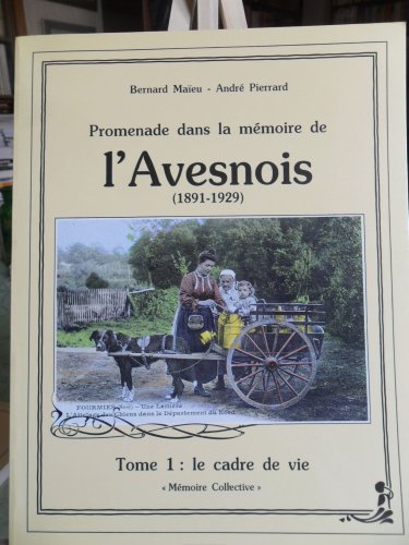 Stock image for Promenade dans la mmoire de l'Avesnois for sale by A TOUT LIVRE