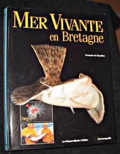 Beispielbild fr Mer vivante en Bretagne zum Verkauf von medimops