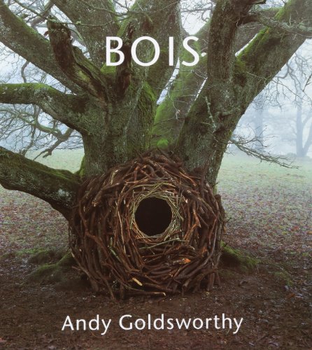 Bois (9782904420856) by Goldsworthy, Andy