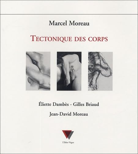 9782904620768: Tectonique des corps: liette Dambs, Gilles Briaud, Jean-David Moreau (0000)