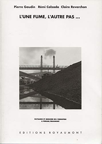 Imagen de archivo de L'une fume, l'autre pas : paysages et mmoire de l'industrie a persan-beaumont a la venta por Ammareal