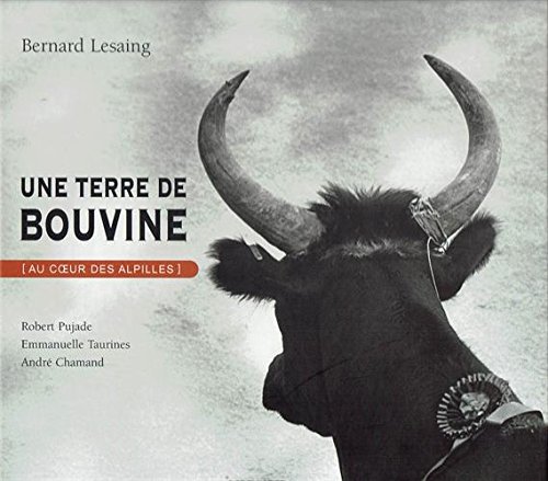 Stock image for UNE TERRE DE BOUVINE (Au coeur des Alpilles) for sale by Librairie Rouchaleou