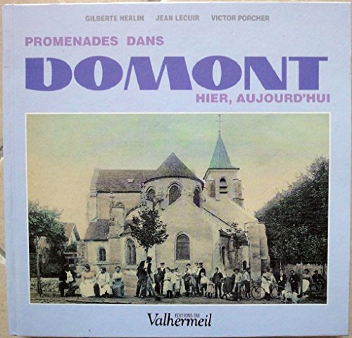 Stock image for Promenades dans Domont : Hier, aujourd'hui for sale by Ammareal