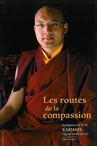 9782905998972: Les routes de la compassion