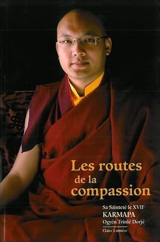 Stock image for Les routes de la compassion for sale by Ammareal