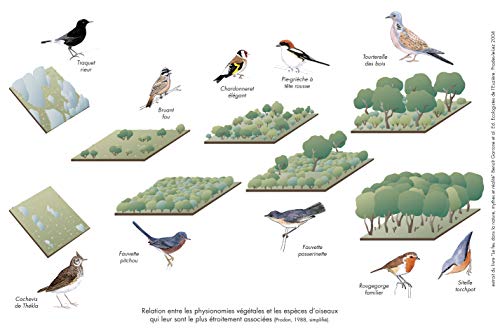 Le Feu dans la Nature. Mythes et réalité