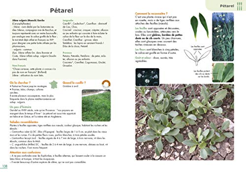 Beispielbild fr Les Salades Sauvages : Guide De Cueillette zum Verkauf von RECYCLIVRE