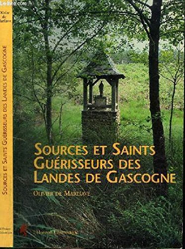 Stock image for Sources et Saints Guerisseurs des Landes de Gascogne for sale by medimops