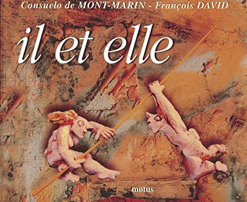 Beispielbild fr Il Et Elle zum Verkauf von RECYCLIVRE