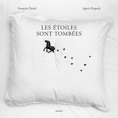 Stock image for Les toiles sont tombes for sale by Ammareal