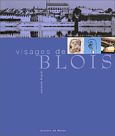 Stock image for Les Visages De Blois : Le Patrimoine Retrouv for sale by RECYCLIVRE