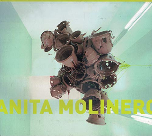 Beispielbild fr Anita Molinero / Art Contemporain / Plasticienne, Peintre Et Sculptrice zum Verkauf von RECYCLIVRE