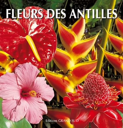 Imagen de archivo de Fleurs des antilles a la venta por Ammareal