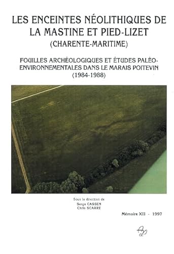 Stock image for Les enceintes néolithiques de La Mastine et Pied-Lizet (Charente-Maritime) for sale by LiLi - La Libert des Livres