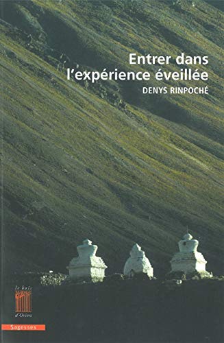 Beispielbild fr Entrer dans l'exprience veille [Broch] Rinpoche, Denys zum Verkauf von BIBLIO-NET