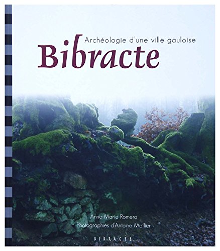 Beispielbild fr Bibracte : Archologie D'une Ville Gauloise zum Verkauf von RECYCLIVRE