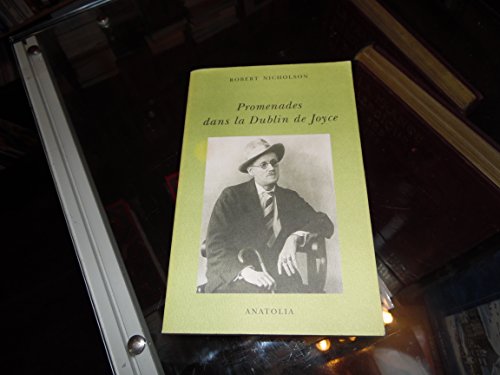 Beispielbild fr Promenades dans le Dublin de Joyce zum Verkauf von A TOUT LIVRE