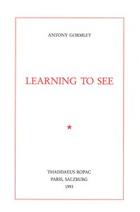 9782910055004: Antony Gormley, Learning to See