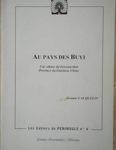 9782910870140: AU PAYS DES BUYI. Une etnie du berceau tha, province du Guizhou, Chine