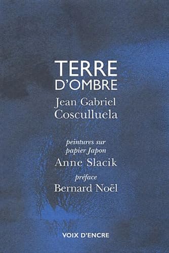 Stock image for TERRE D'OMBRE (French Edition) for sale by Gallix