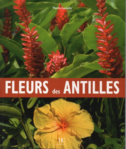 Stock image for Fleurs des antilles for sale by Ammareal