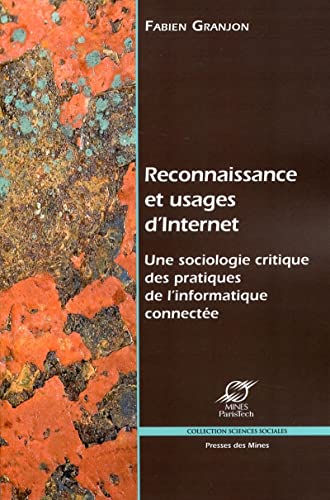 9782911256738: Reconnaissance et usages d'Internet : Une sociologie critique des pratiques de l'informatique connecte