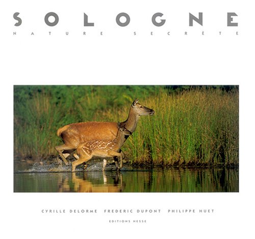 Imagen de archivo de Sologne : Nature Secrte a la venta por RECYCLIVRE