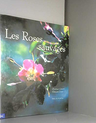 Stock image for Les roses sauvages for sale by Ammareal