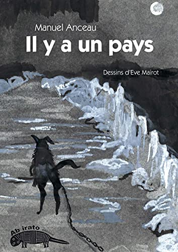 Stock image for Il y a un pays for sale by Gallix