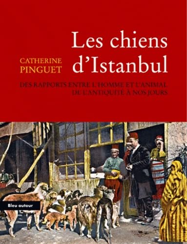 Beispielbild fr Les chiens d'Istanbul : Des rapports entre l'homme et l'animal de l'Antiquitit  nos jours zum Verkauf von Ammareal