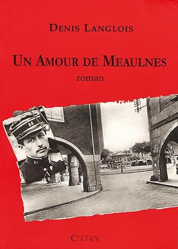 Beispielbild fr Un amour de meaulnes zum Verkauf von medimops