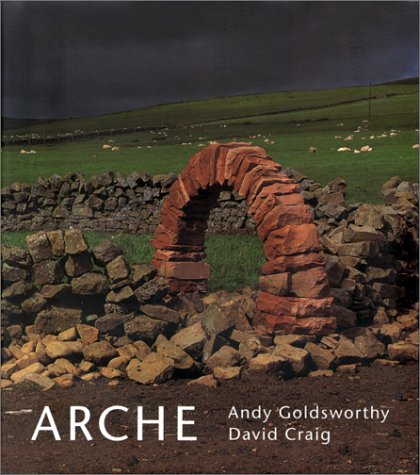 Imagen de archivo de Arche (Livre Solde) a la venta por medimops