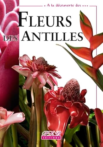 Beispielbild fr A La Dcouverte Fleurs Des Antilles zum Verkauf von RECYCLIVRE