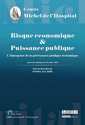 Stock image for Risque conomique et Puissance publique : L'mergence de la prvoyance publique conomique for sale by Revaluation Books