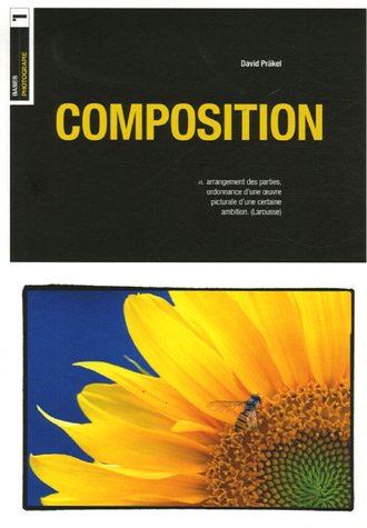 Stock image for Composition for sale by AwesomeBooks