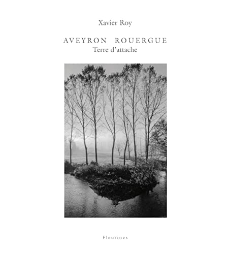 Imagen de archivo de Aveyron Rouergue Terre D'attache a la venta por RECYCLIVRE