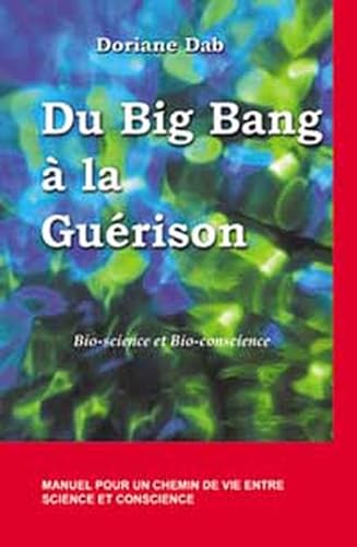 Beispielbild fr Du Big Bang  la gurison : Bio-science et Bio-conscience zum Verkauf von medimops