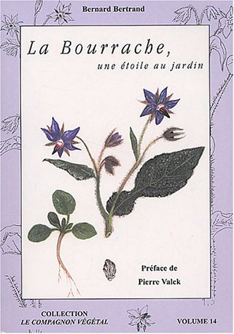 9782913288331: la bourrache, une toile au jardin