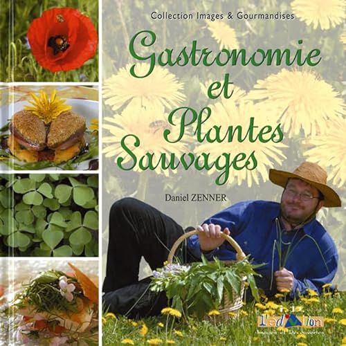 Imagen de archivo de Gastronomie et plantes sauvages Zenner, Daniel; Herrscher, Pascal and Hamm, Christophe a la venta por e-Libraire