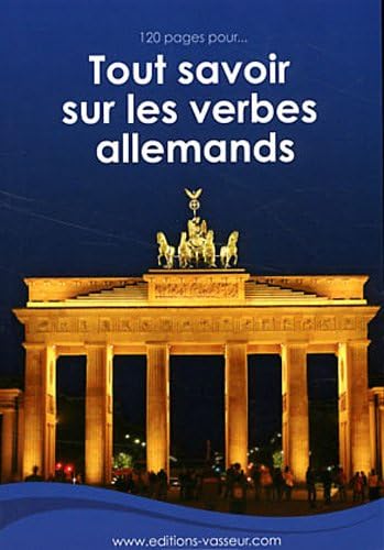 9782913305786: 120 pages pour tout savoir sur les verbes allemands